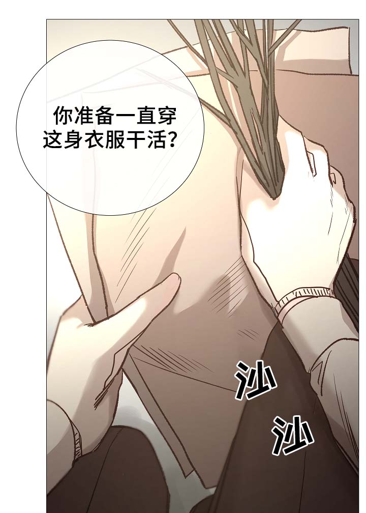 第87章：简直糟糕透了8