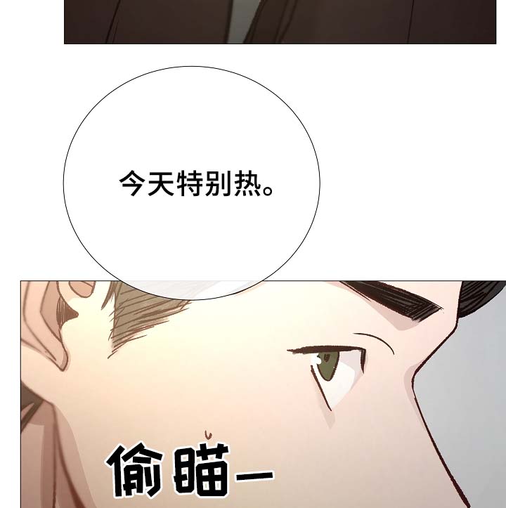 第87章：简直糟糕透了9