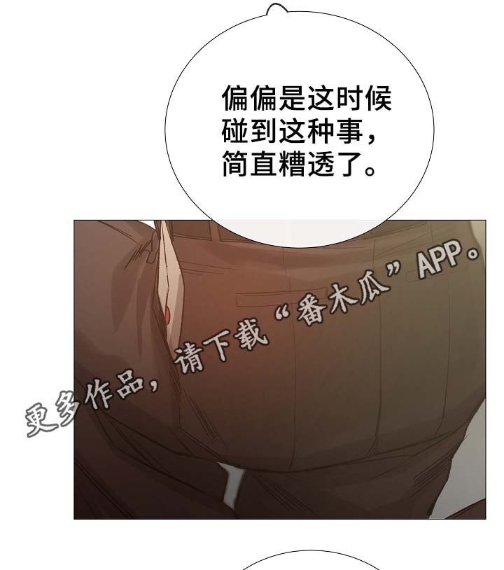 第87章：简直糟糕透了30