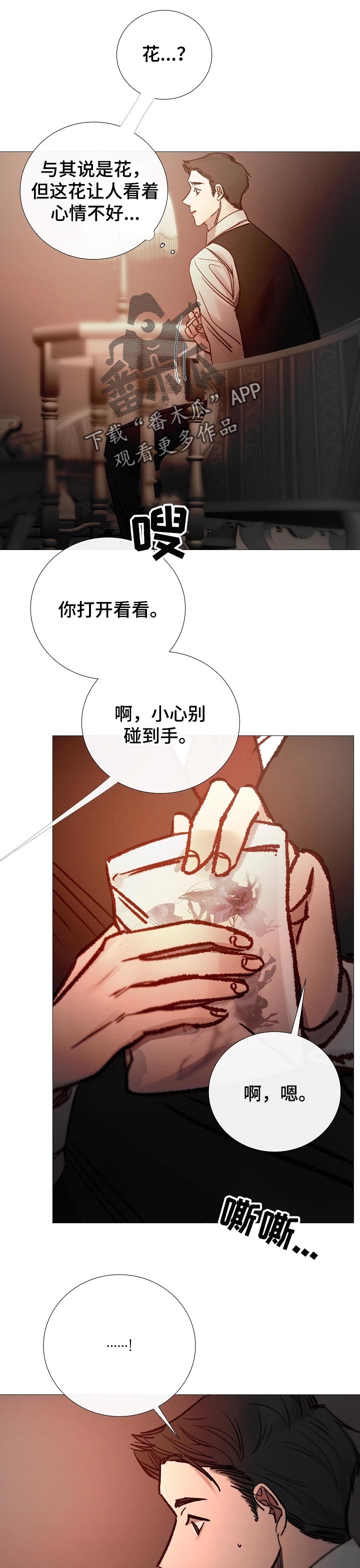 第153章：确定关系0