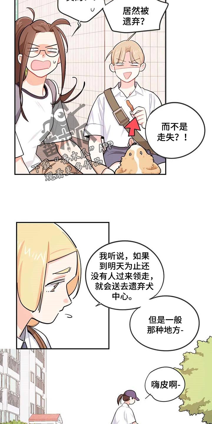第38章：遗弃的狗狗10