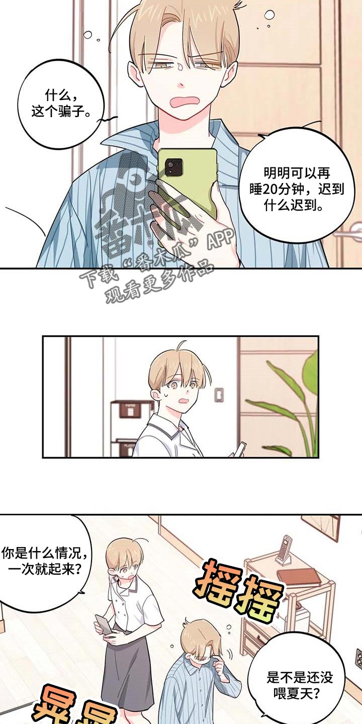 第43章：百分百过敏2