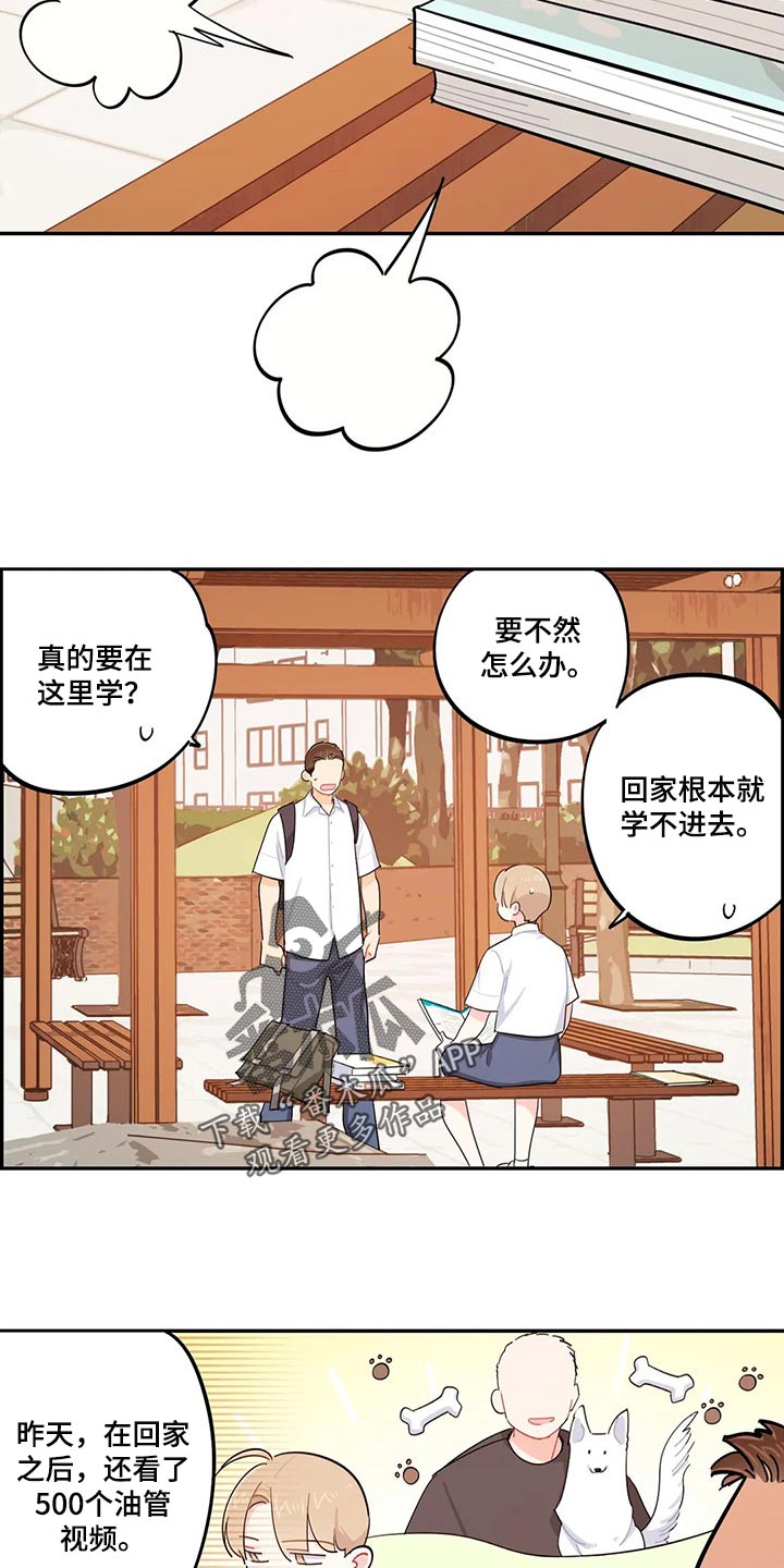第47章：分数能有什么用6