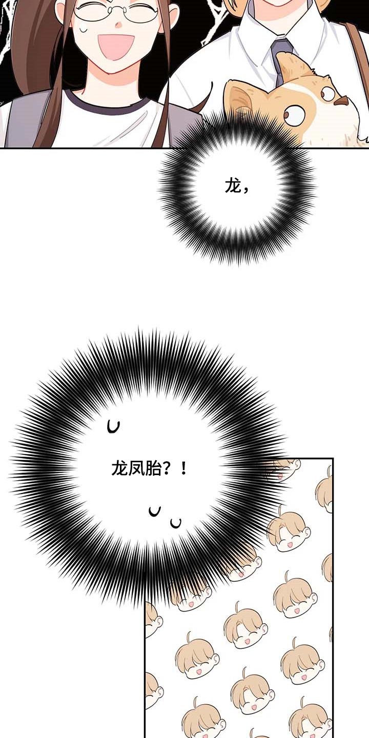 第40章：烦人5