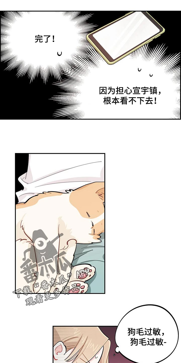 第51章：狗毛过敏14