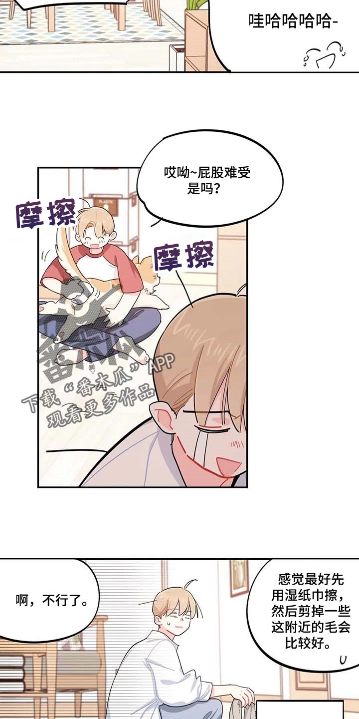 第43章：百分百过敏12