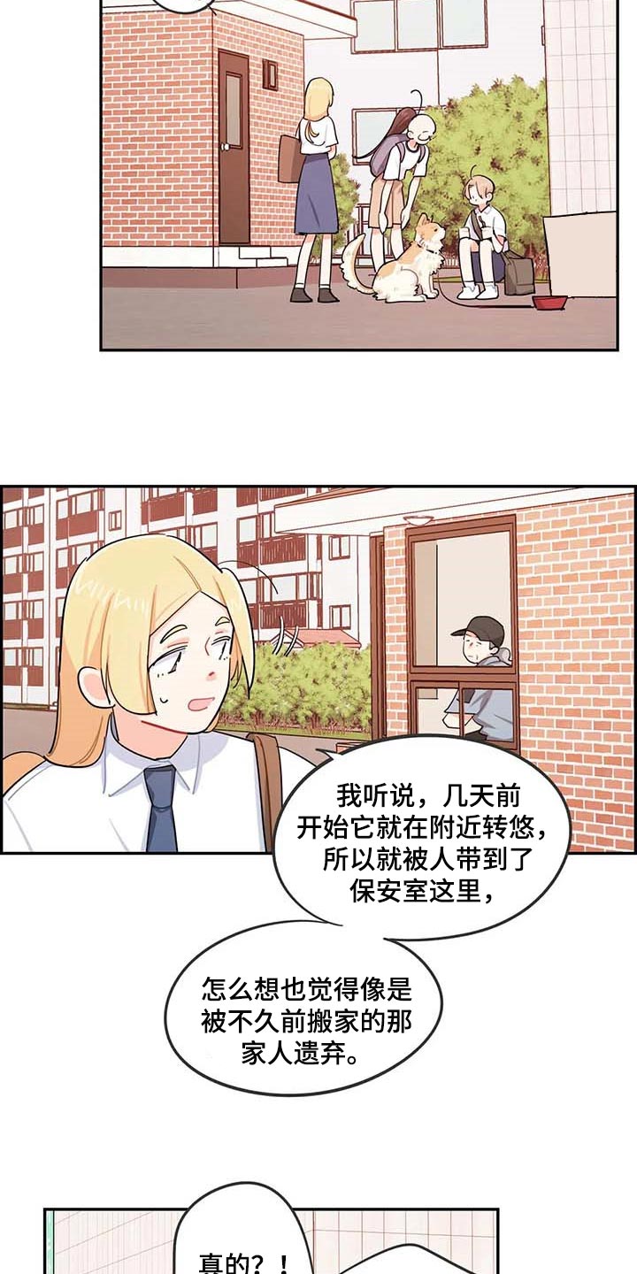 第38章：遗弃的狗狗9