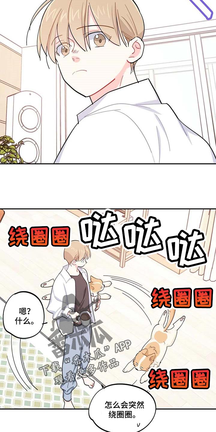 第43章：百分百过敏9