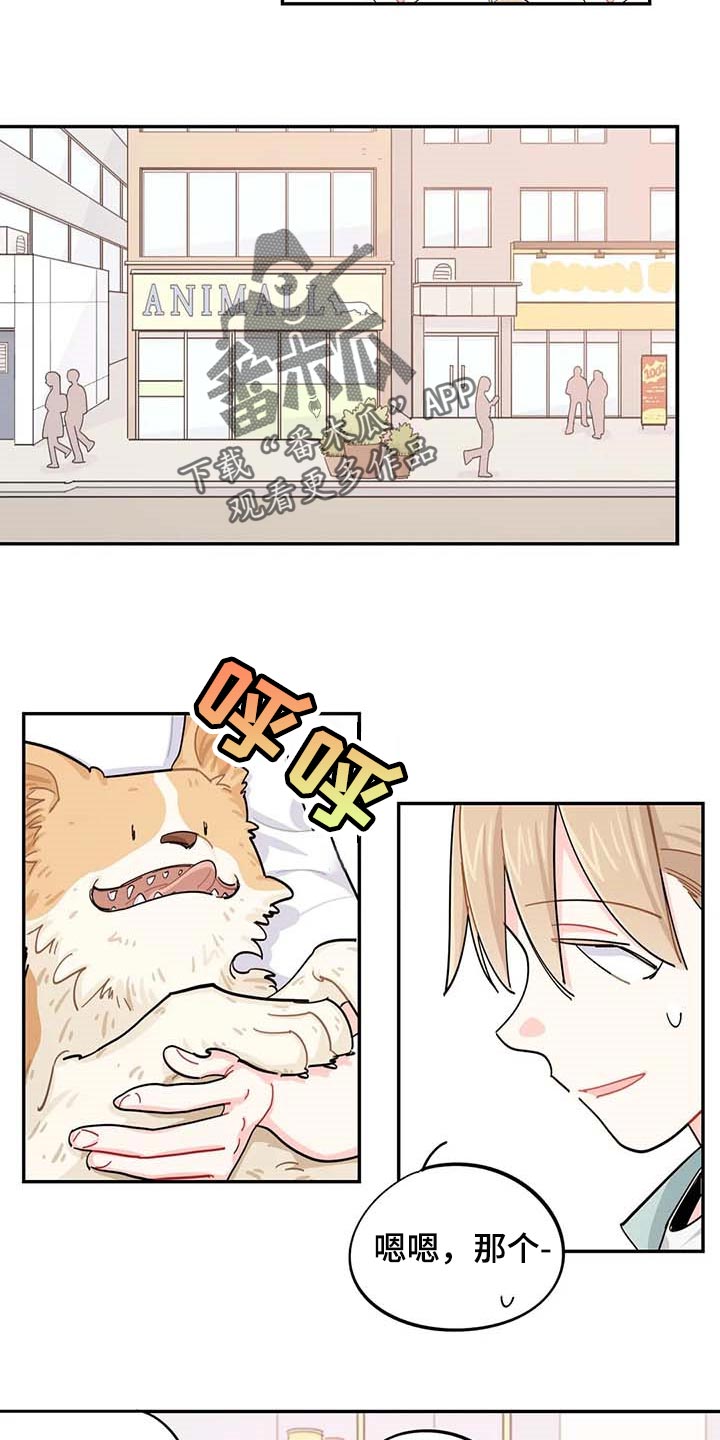 第40章：烦人6
