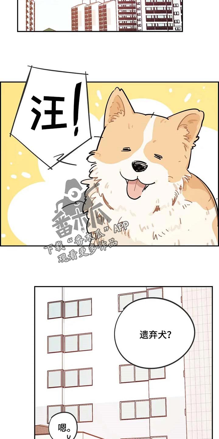 第38章：遗弃的狗狗8