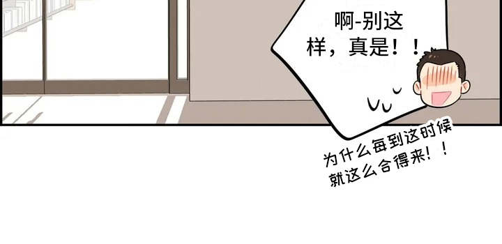 第4章：赶鸭子上架8