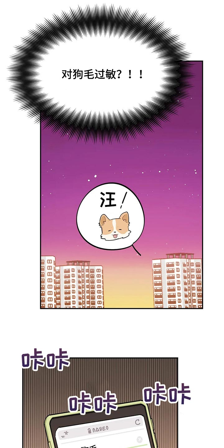 第51章：狗毛过敏5