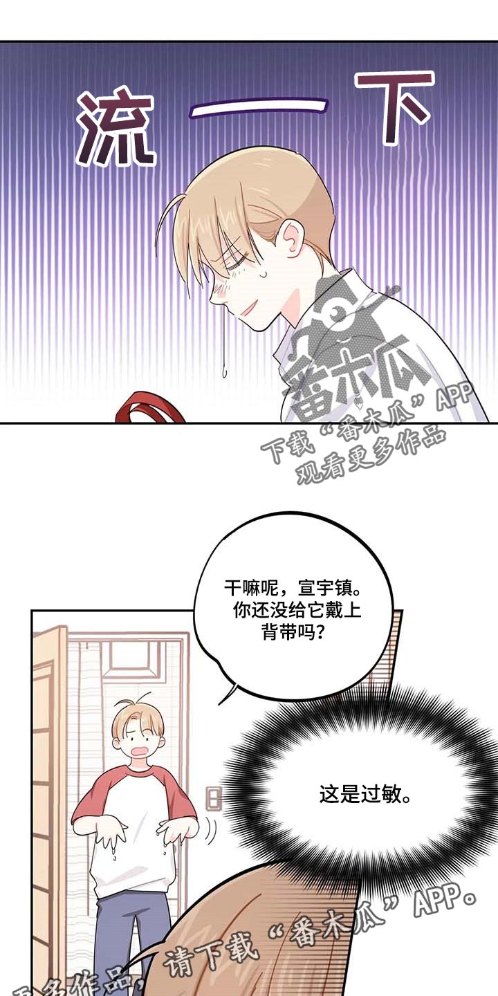 第43章：百分百过敏14