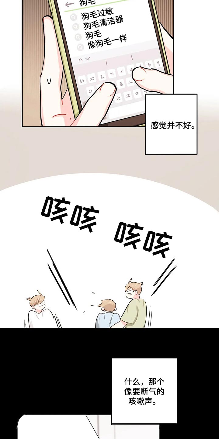 第51章：狗毛过敏6