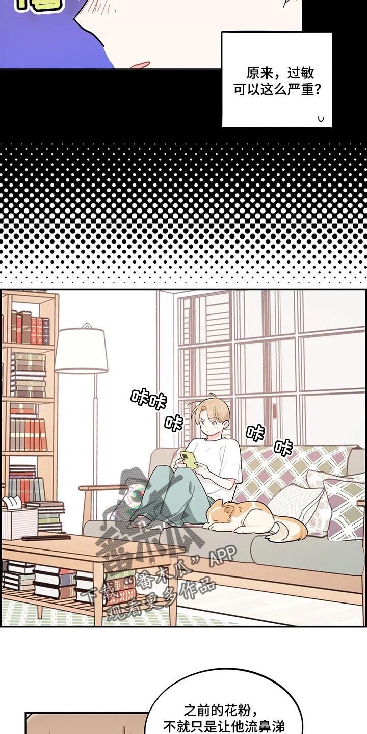 第51章：狗毛过敏8