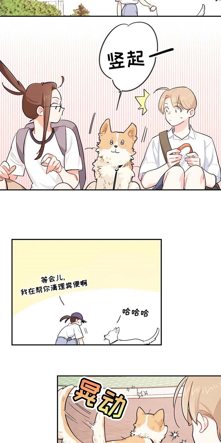 第38章：遗弃的狗狗11