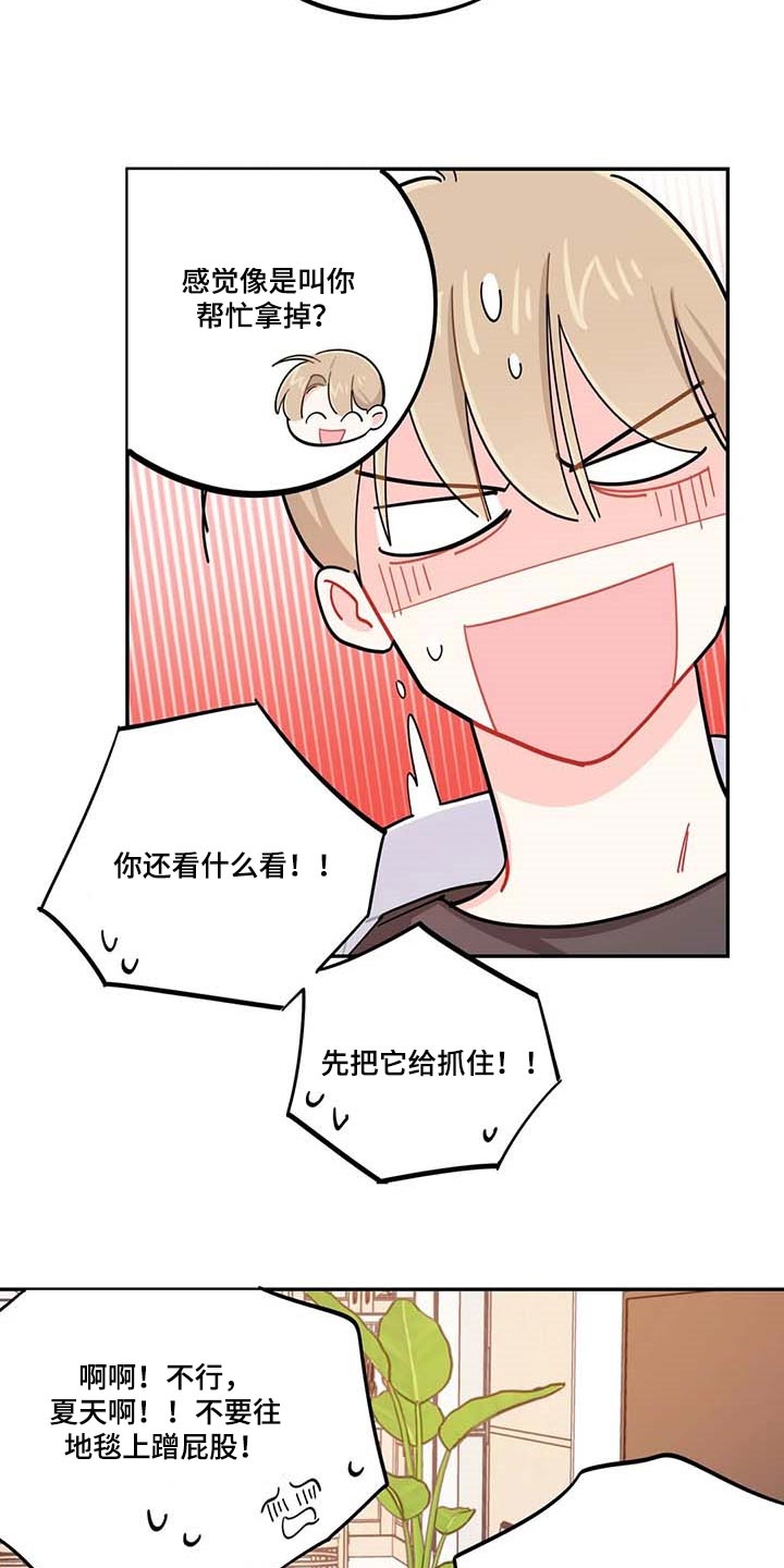 第43章：百分百过敏11