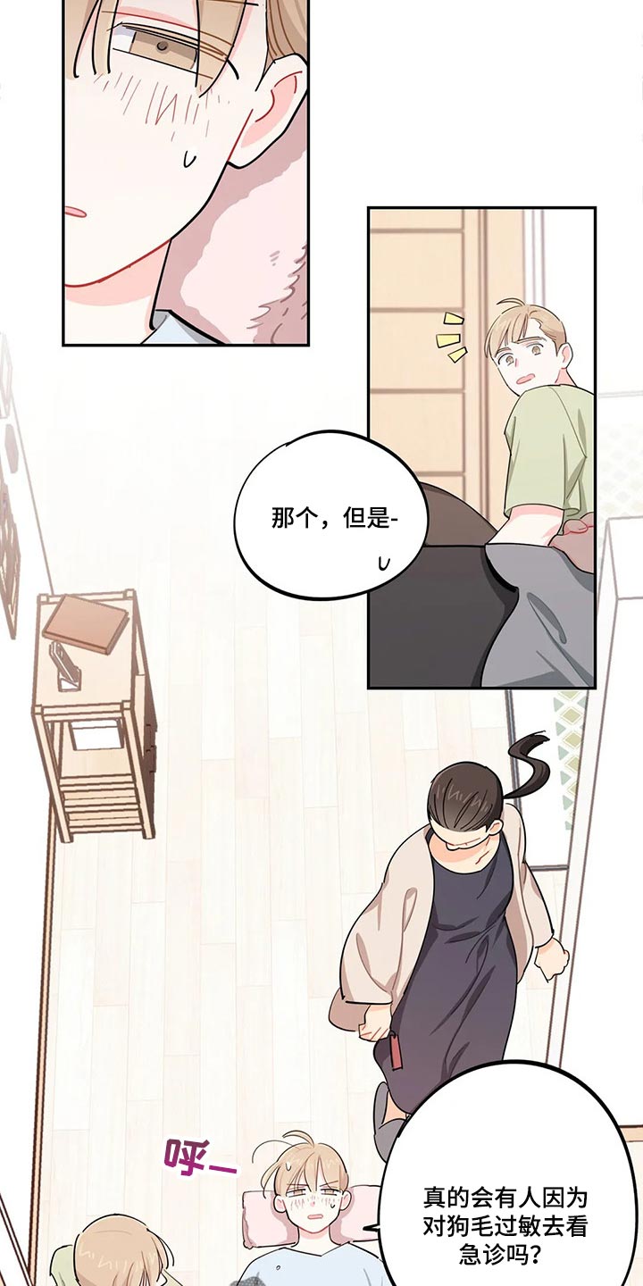 第51章：狗毛过敏3