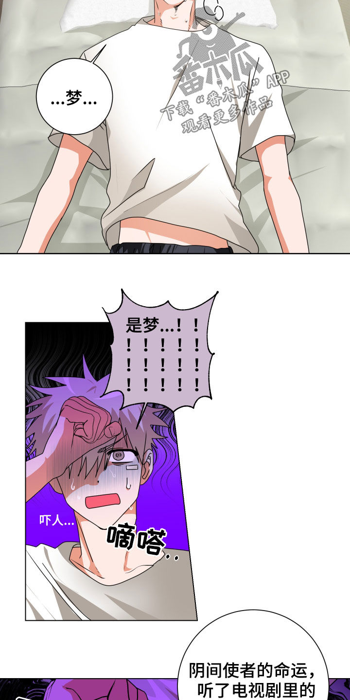 第28章：是梦18