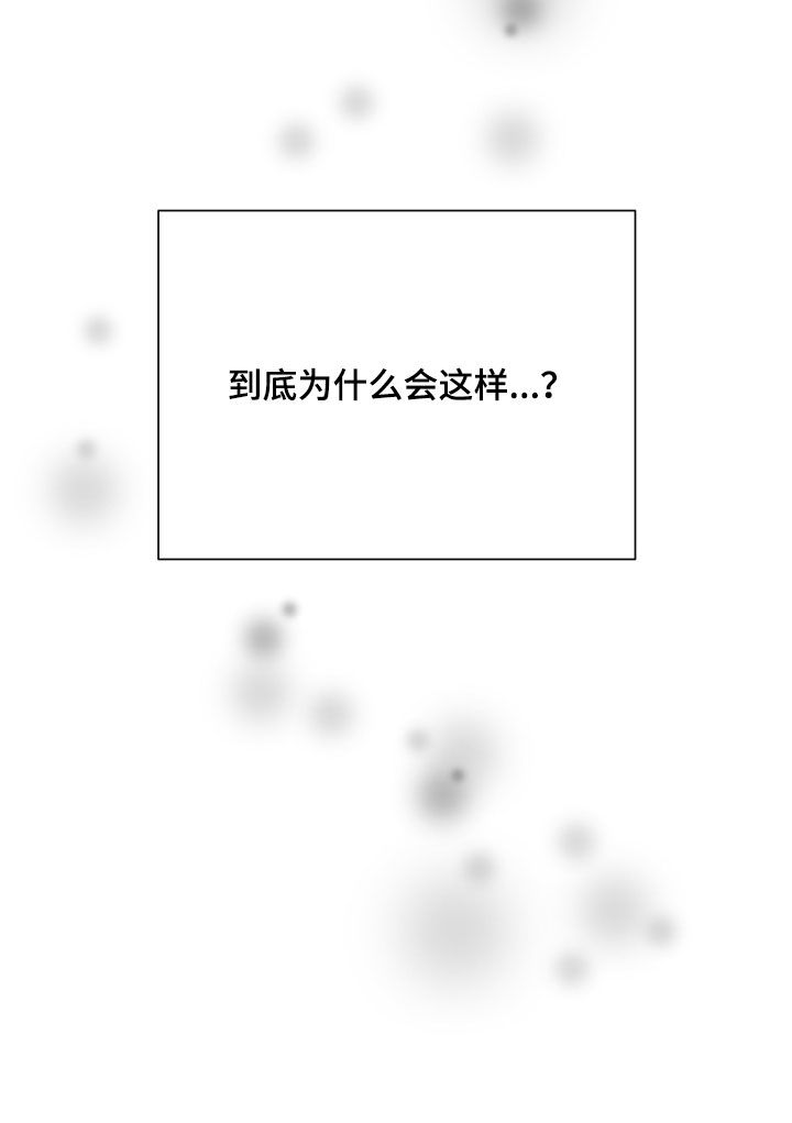 第30章：视而不见17