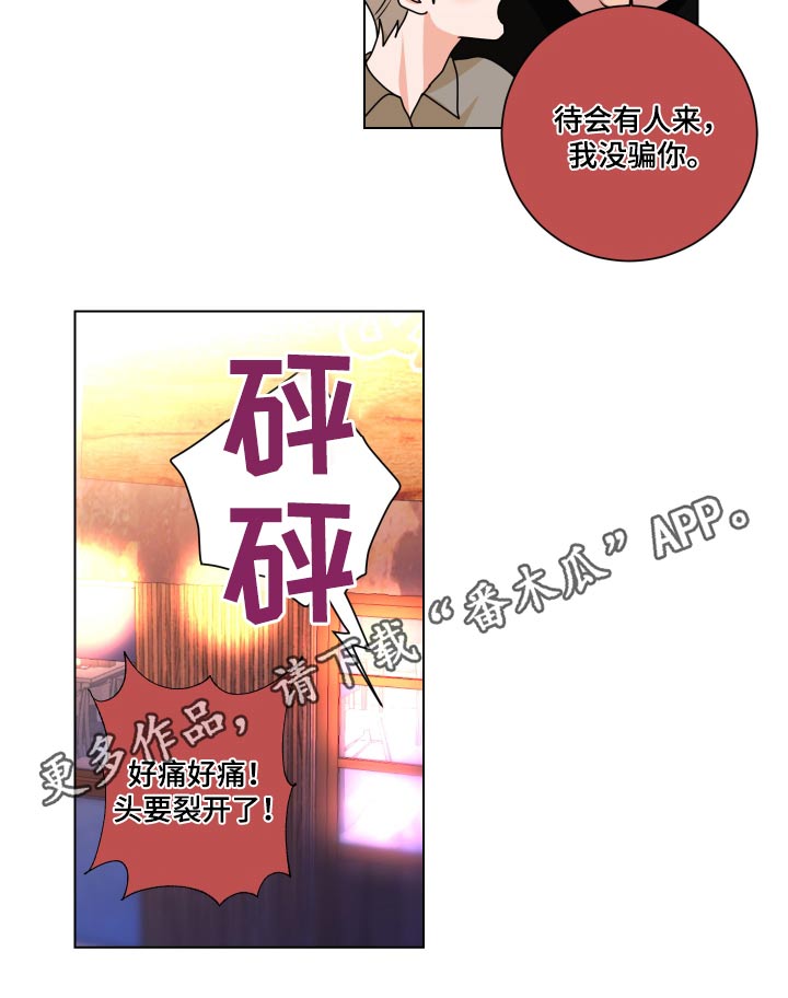 第43章：没骗你16