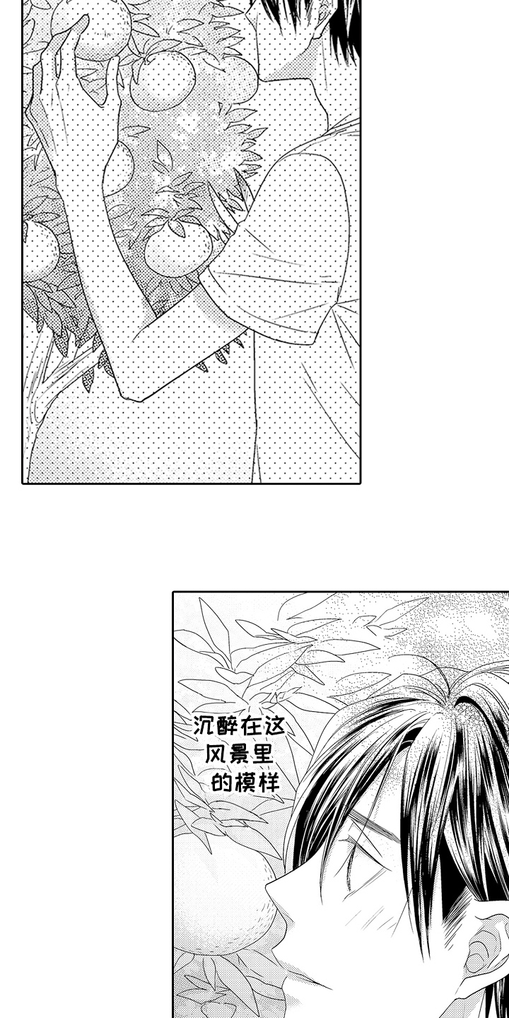 第23章：情感模糊12