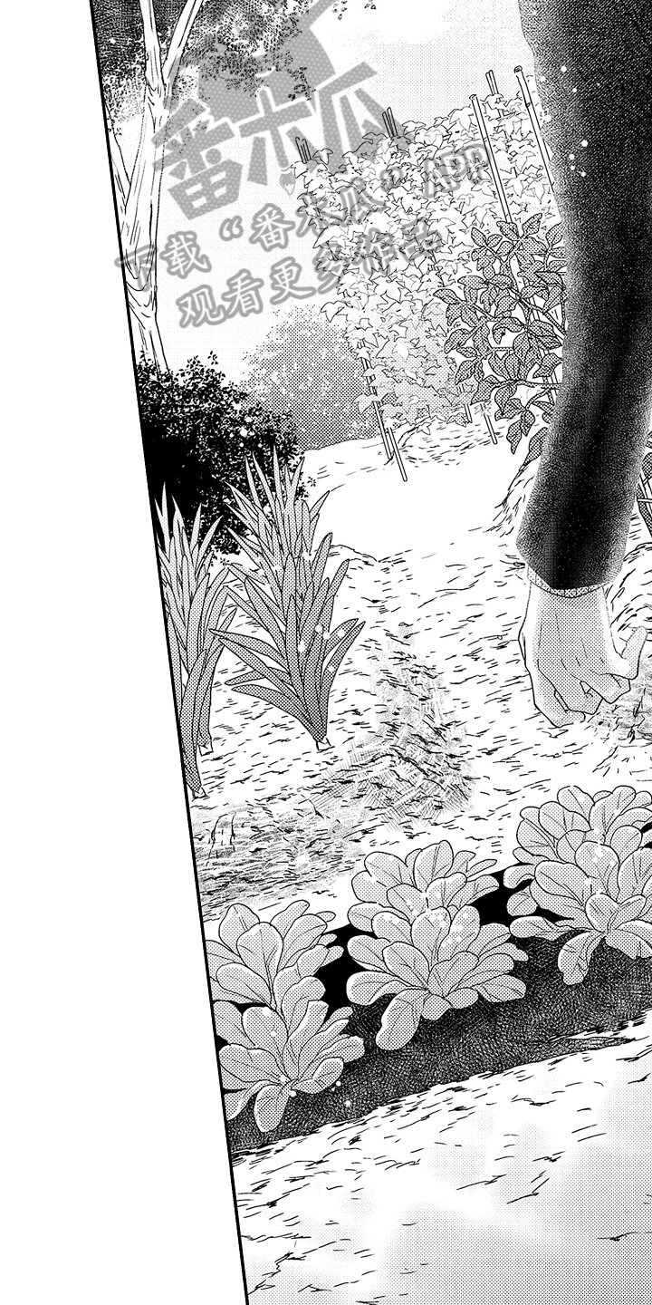 第4章：劝说14