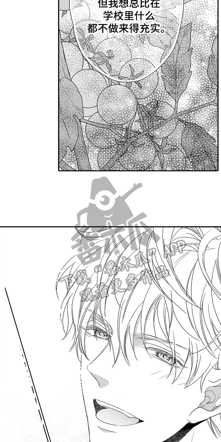 第5章：介绍2
