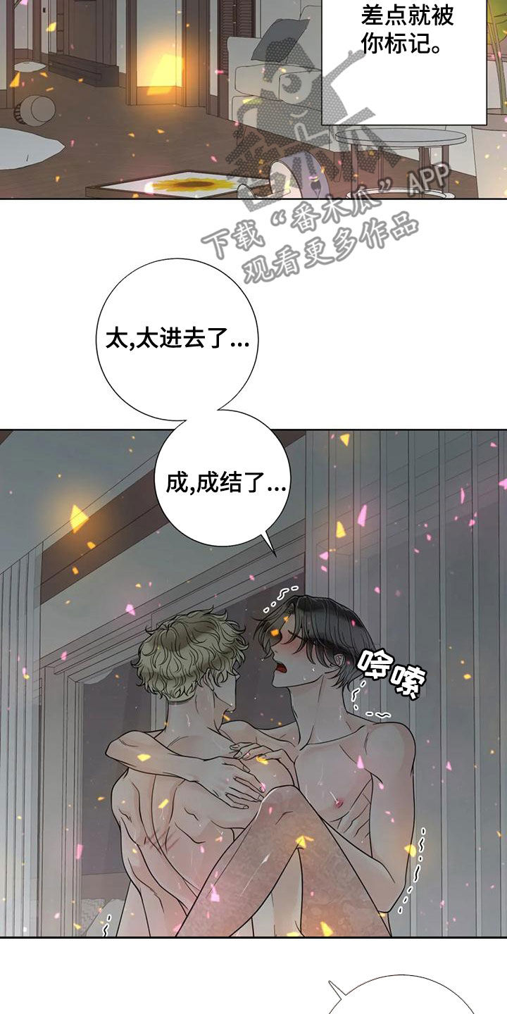 第144章：【番外】谢谢你9