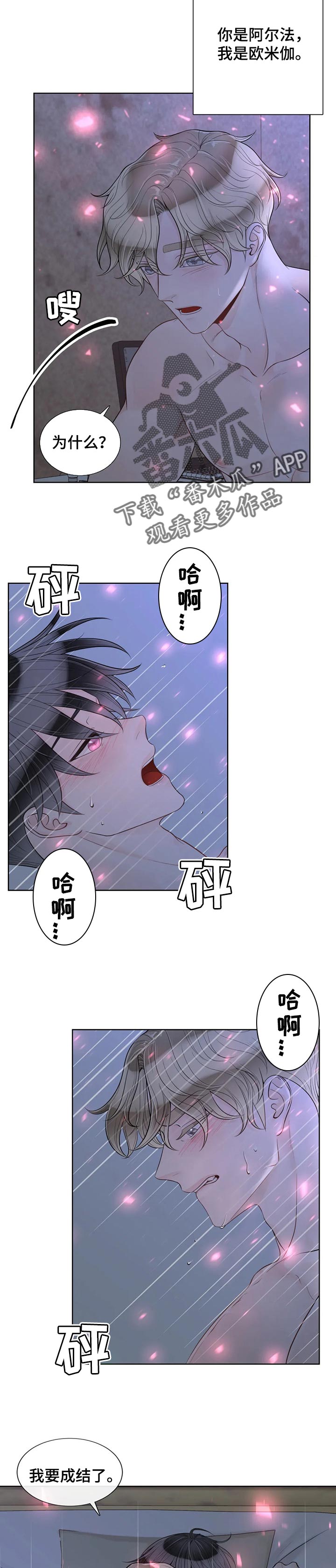 第88章：【第二季】理解2