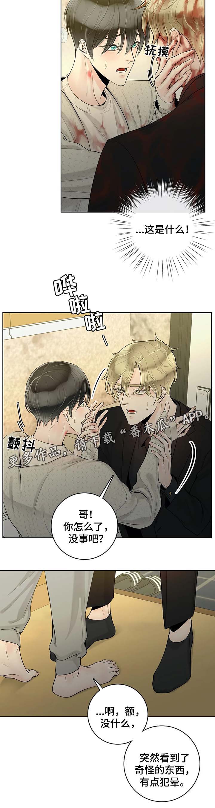 第53章：奇怪的东西1