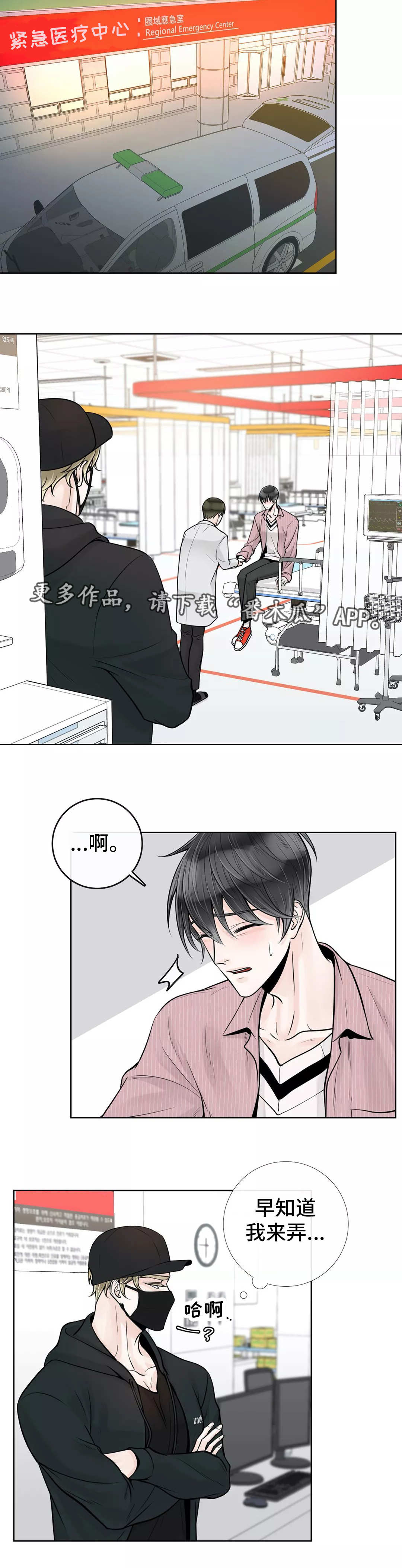 第41章：什么关系1