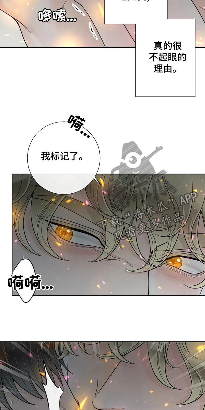 第144章：【番外】谢谢你13