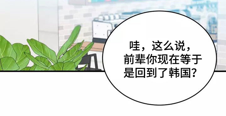 第12章：回国了17