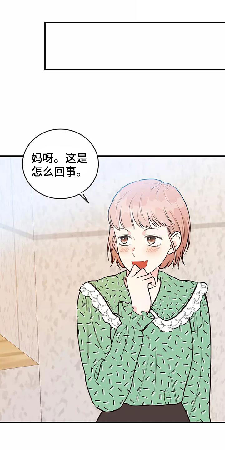 第14章：偷听17