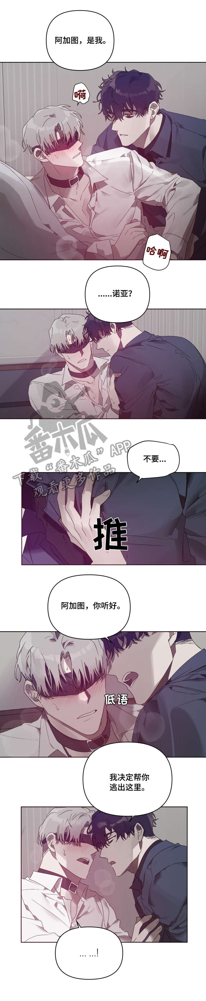 第9章：机会8