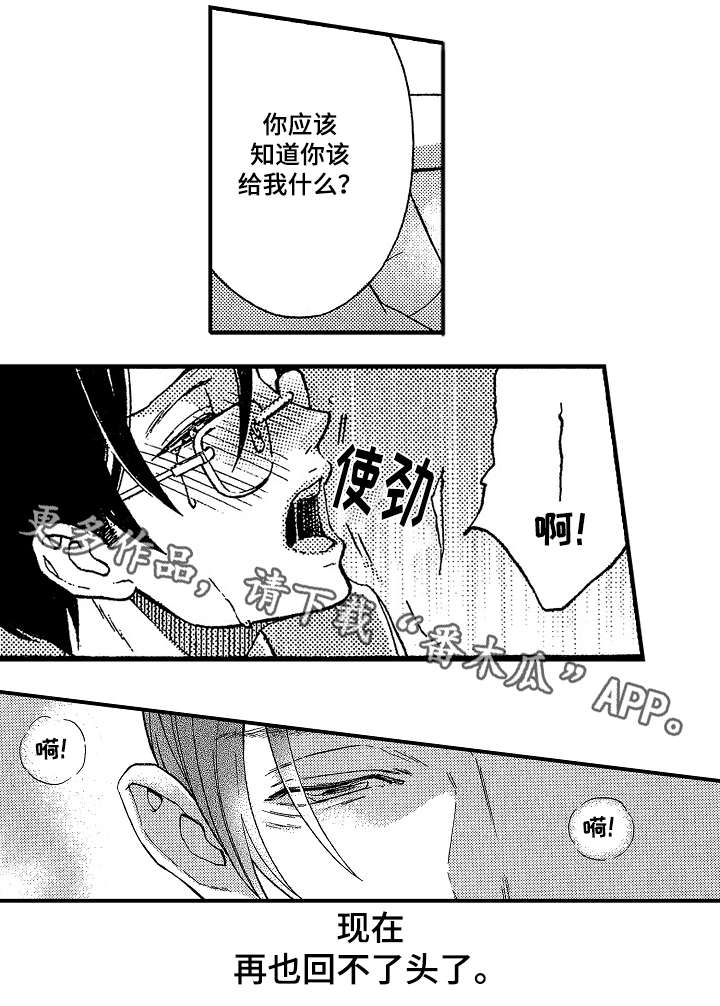 第5章：抄袭11