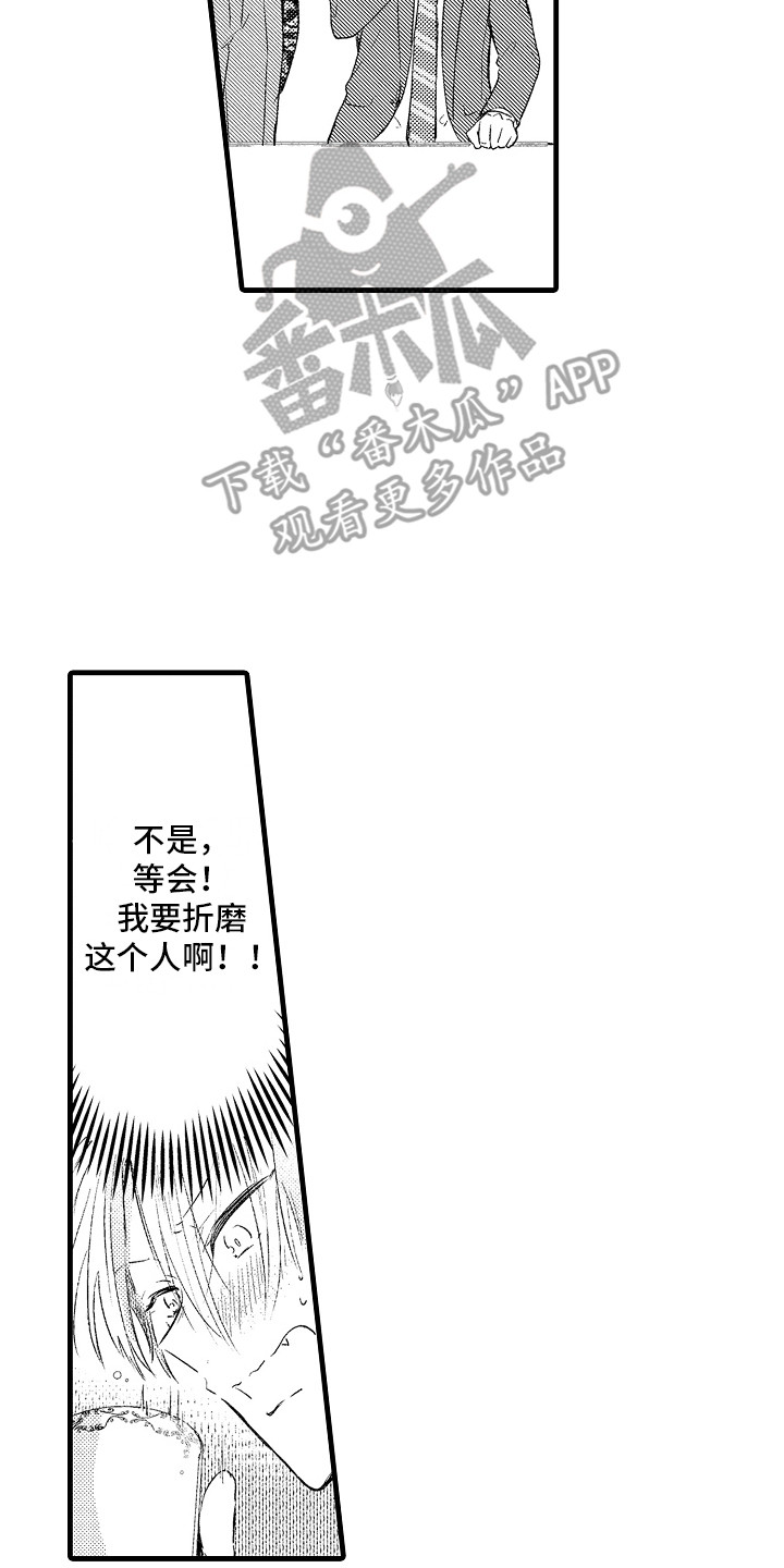 第4章：捉弄13