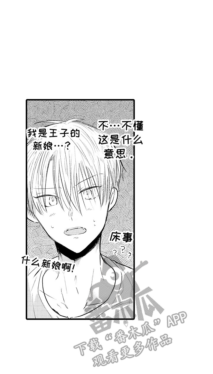 第5章：义务16