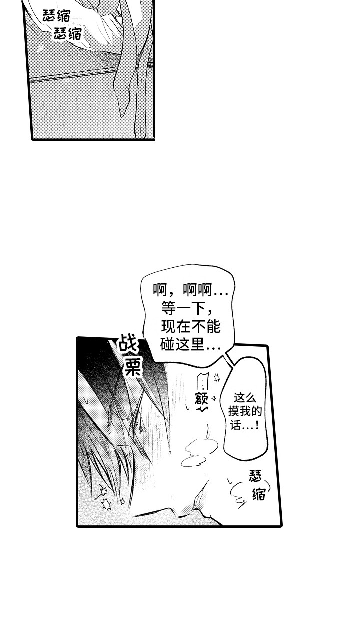 第33章：很喜欢 20