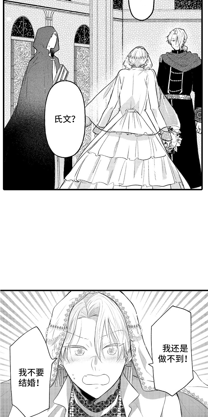第26章：逃跑 3