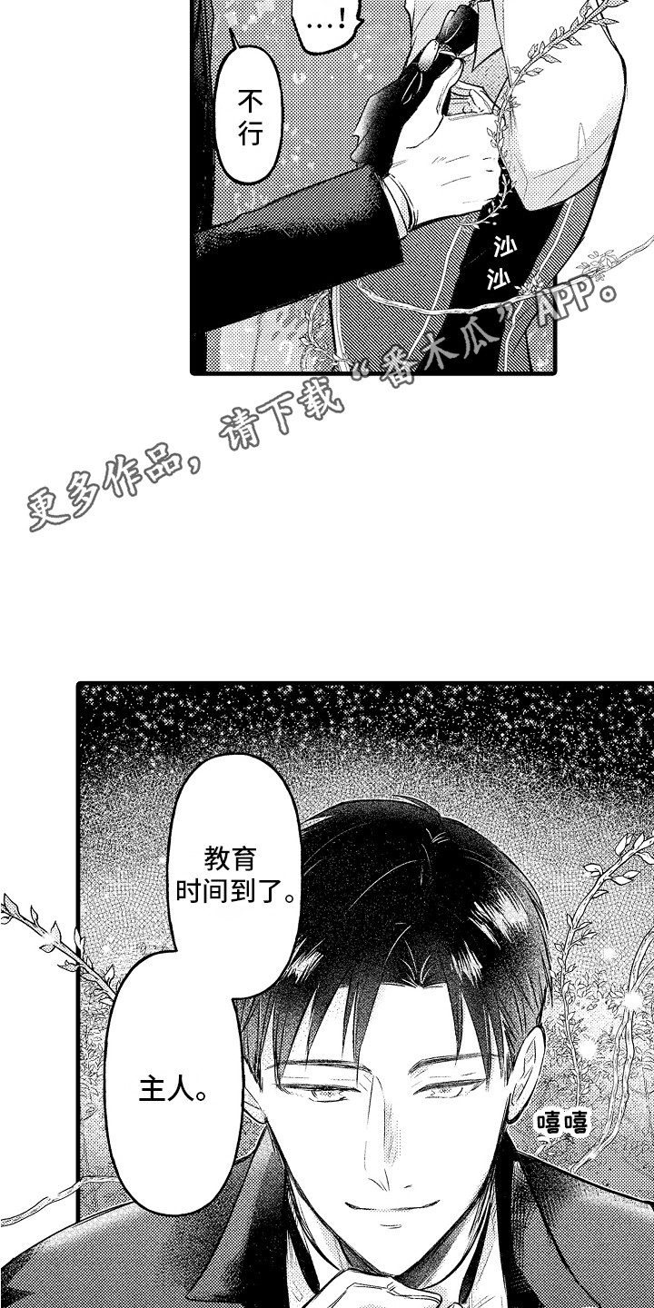 第12章：惩罚 4