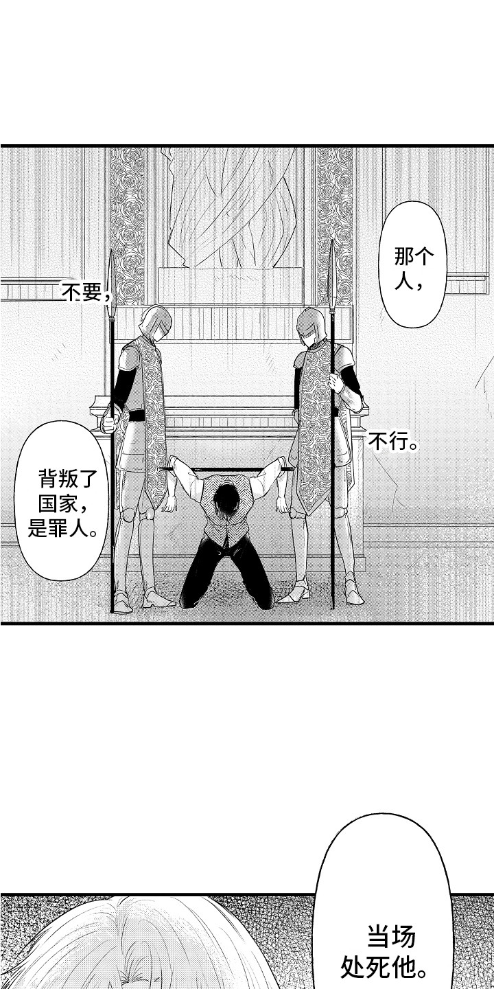 第29章：处决14