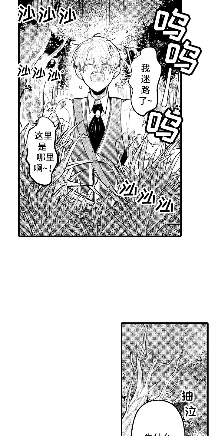 第9章：迷路了14