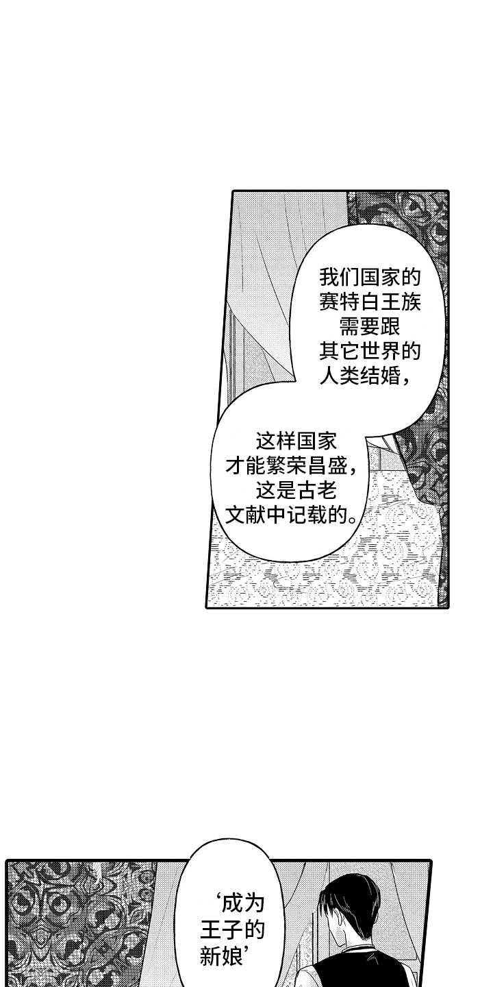 第5章：义务14