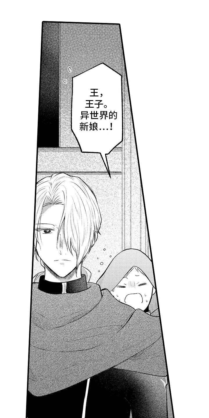 第26章：逃跑 6