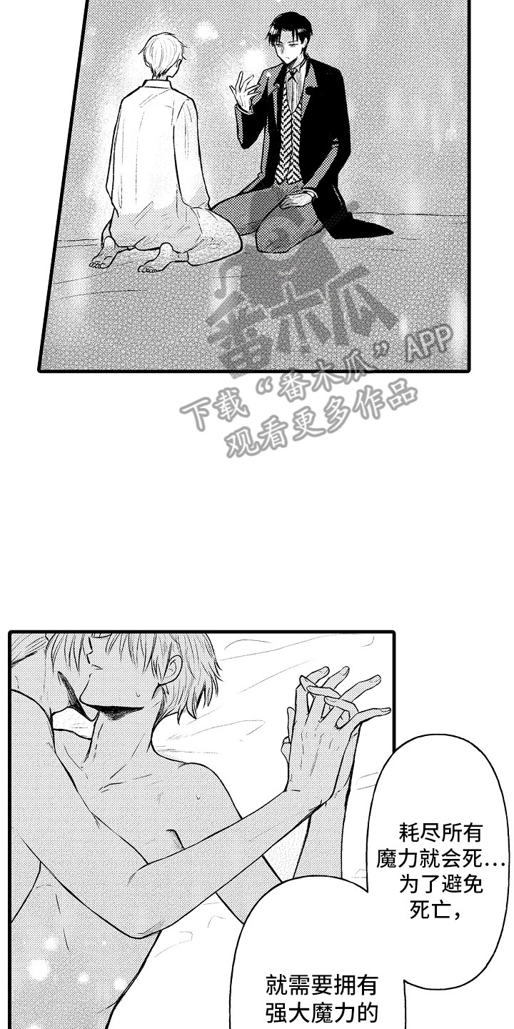 第21章：隐瞒 1