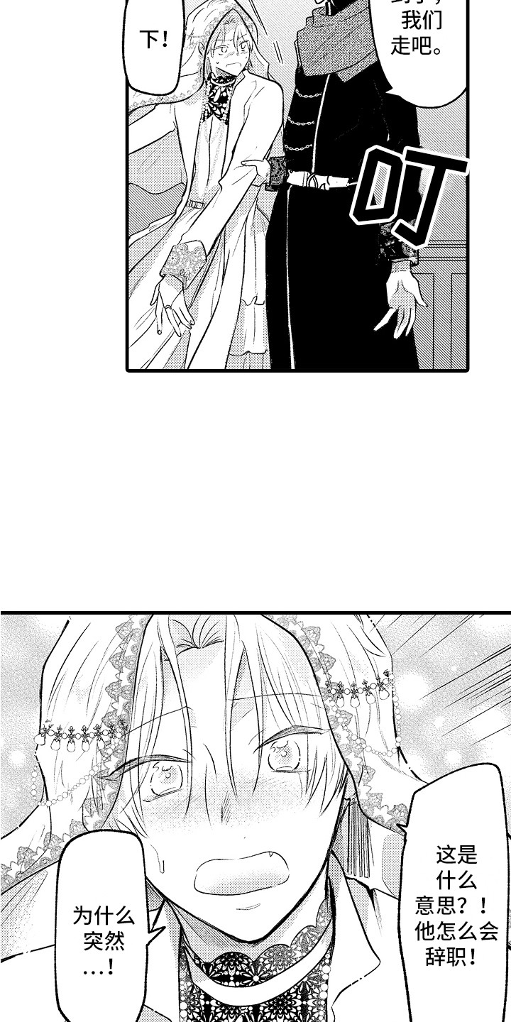 第25章：婚礼当天6
