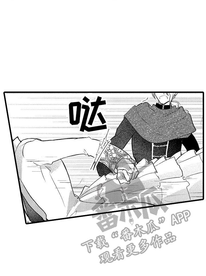 第29章：处决16