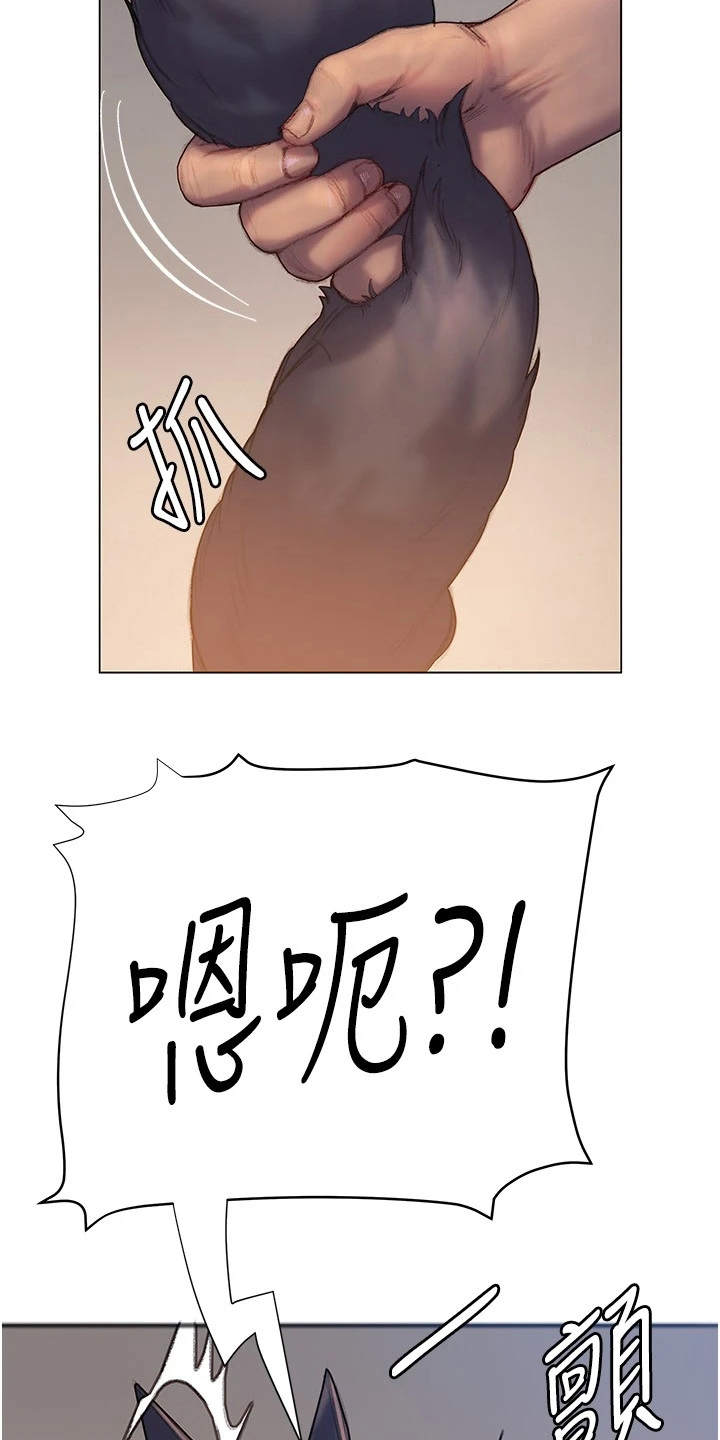 第15章：错过15